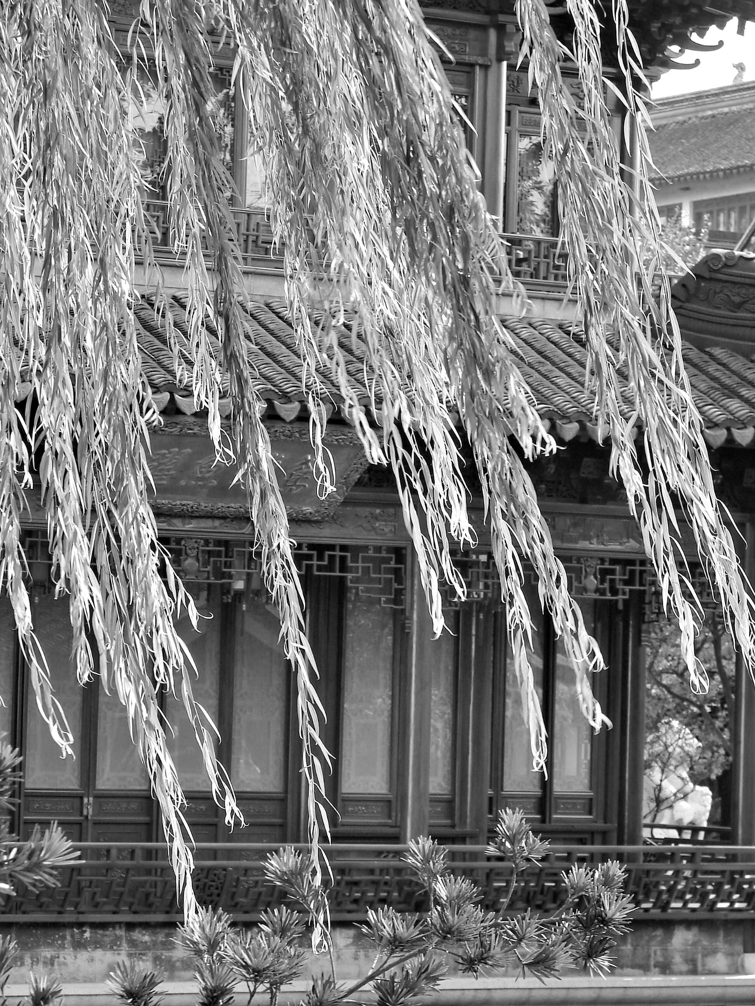 September 2005: Yu Yuan-Garten im Huangpu District von Schanghai